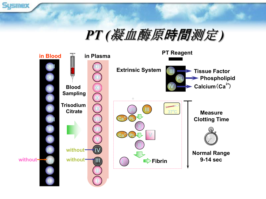 医学凝血四项原理和临床意义培训课件.ppt_第2页