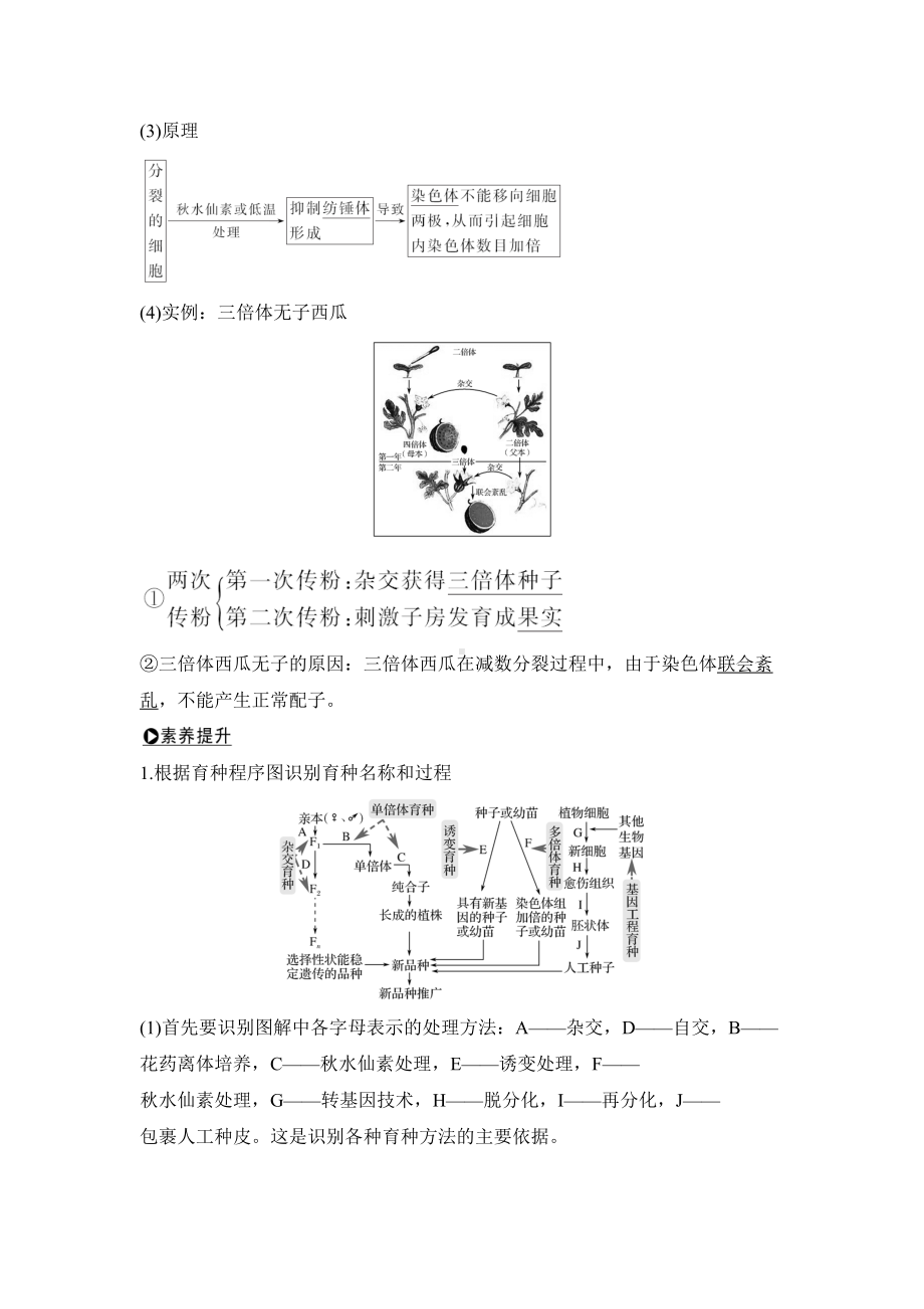 高中生物一轮复习-变异在育种中的应用(DOC 11页).docx_第2页