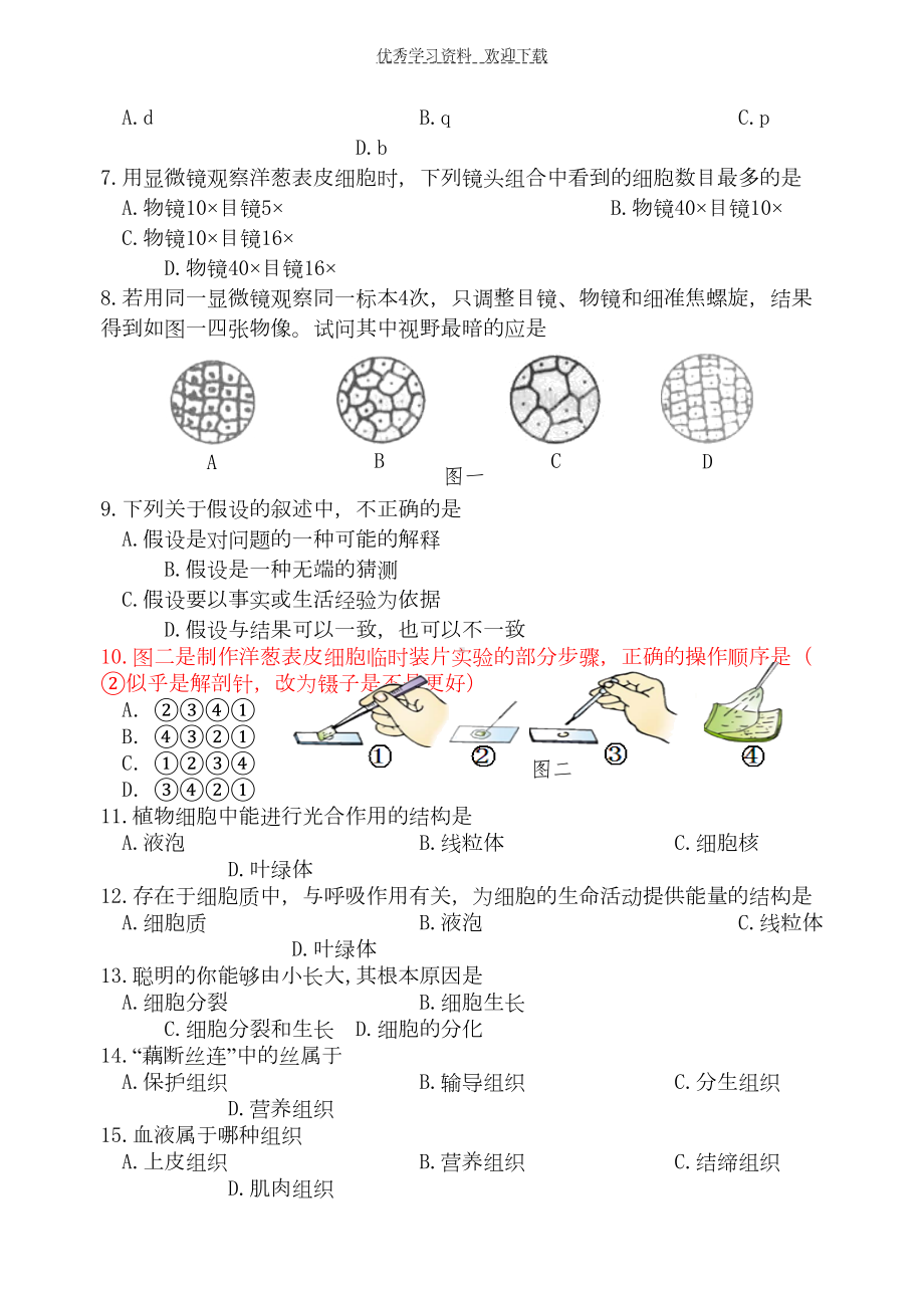 苏教版生物七年级上册期中模拟试卷(DOC 5页).doc_第2页