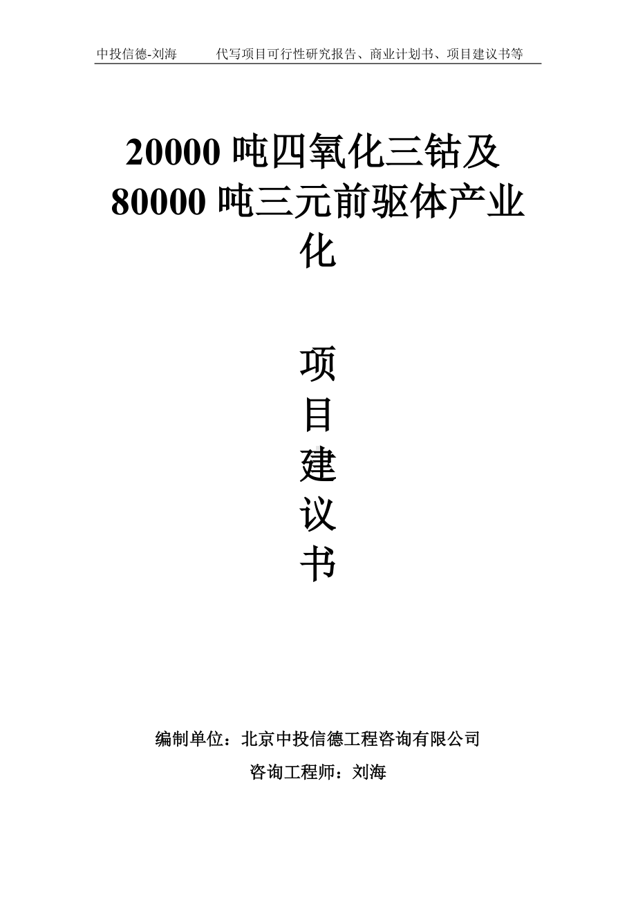 20000吨四氧化三钴及80000吨三元前驱体产业化项目建议书-写作模板.doc_第1页