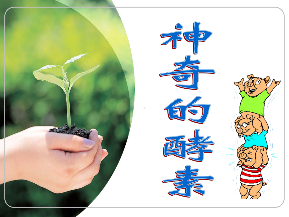 学生版课程-环保酵素课件.ppt_第1页