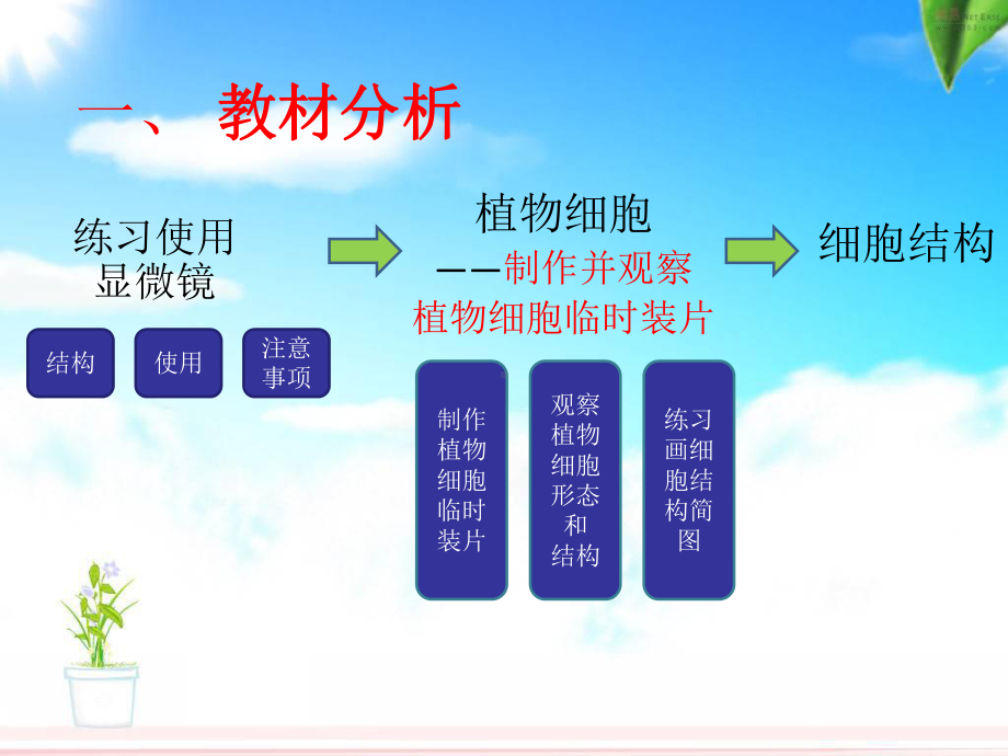 制作并观察植物细胞临时装片说课王刚7课件.ppt_第3页