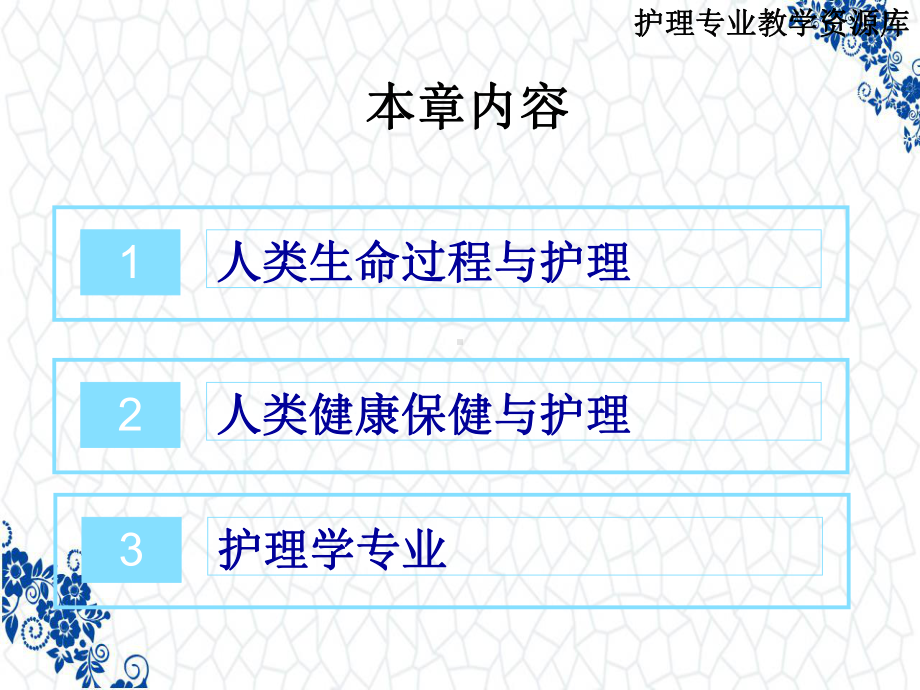 护理学导论课件：第一章--人类生命过程与护理-第一、二、三节.ppt_第3页