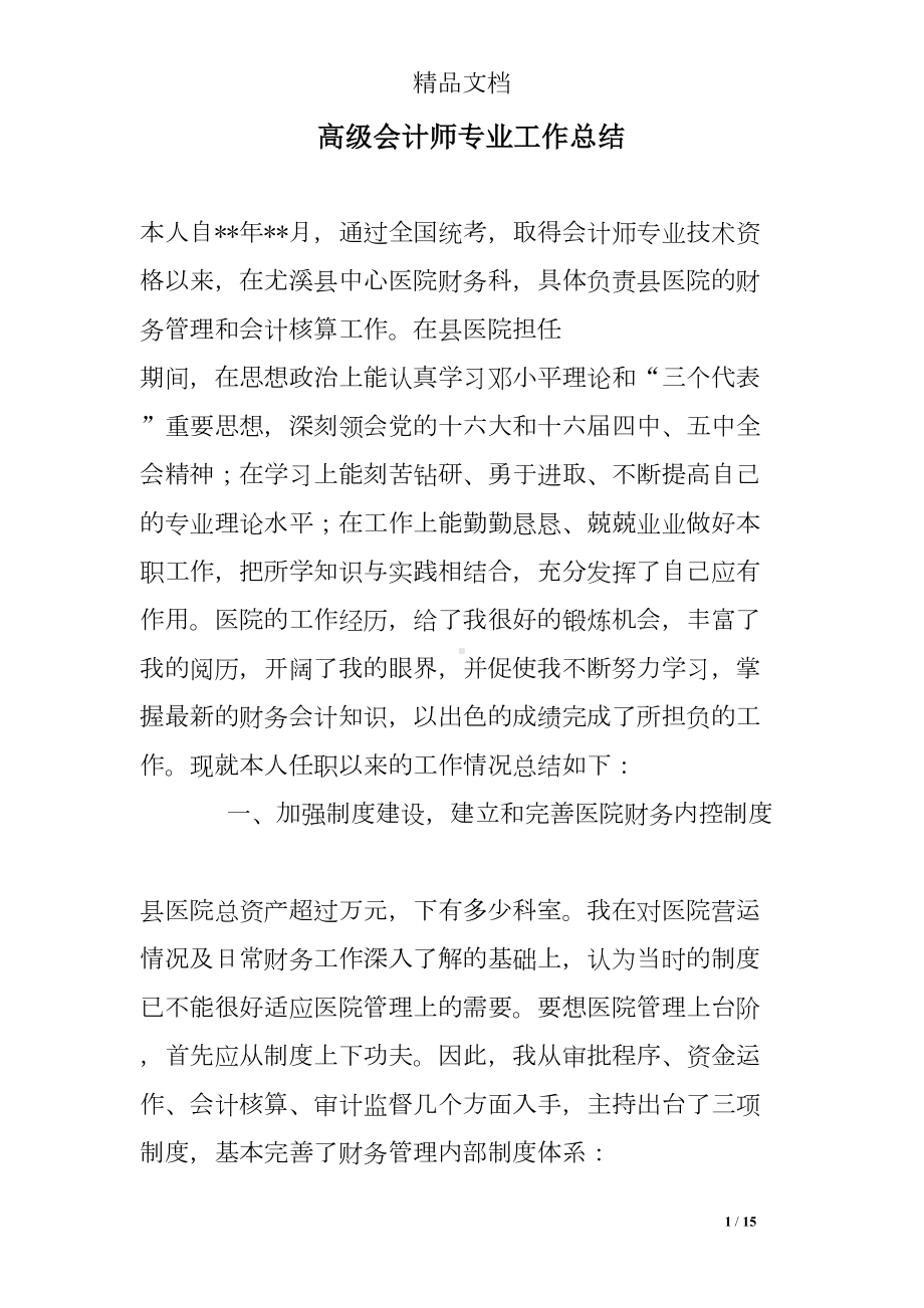 高级会计师专业工作总结(DOC 15页).doc_第1页