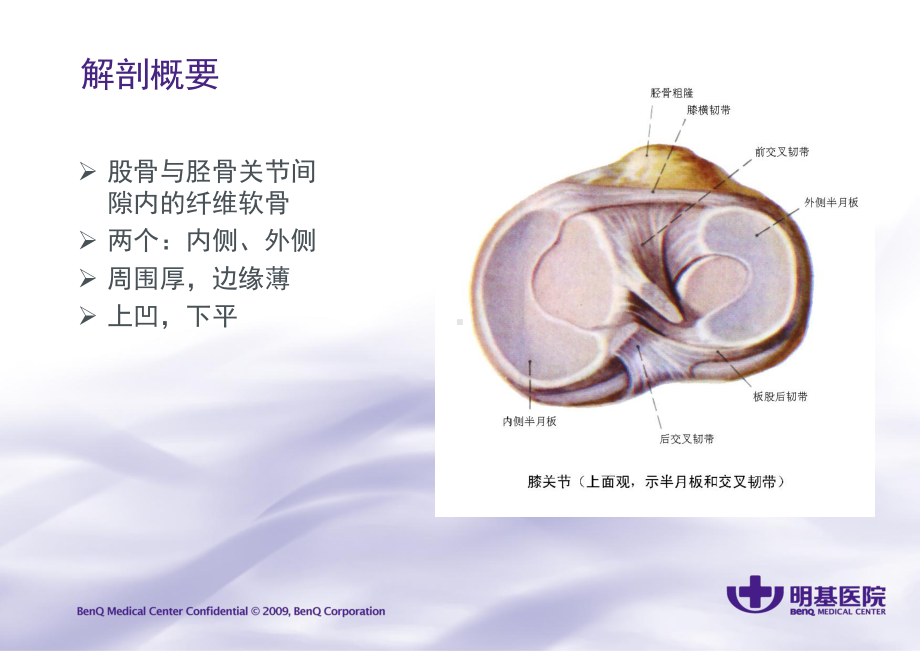 半月板损伤及护理-课件.ppt_第3页