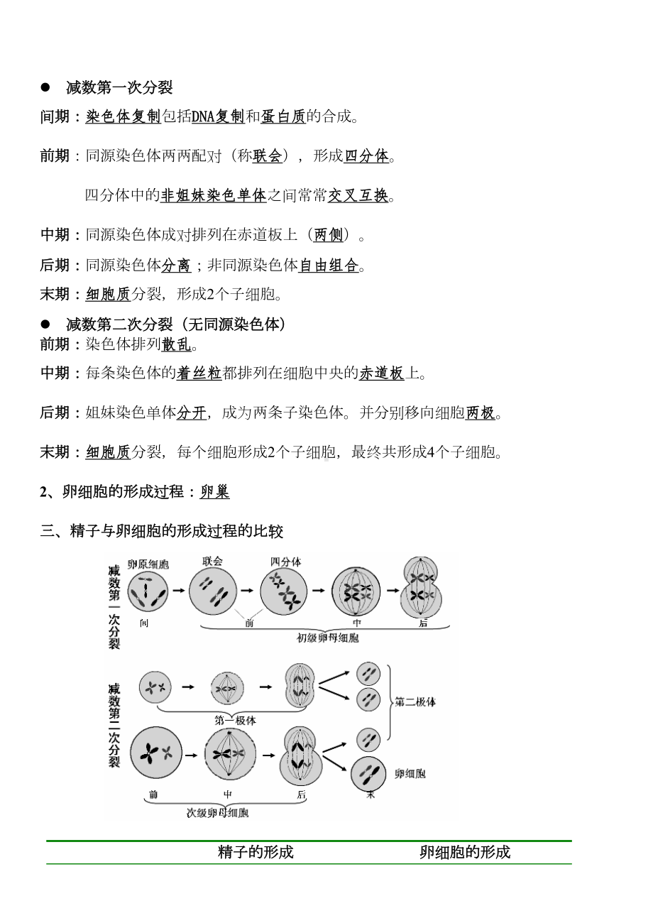 高中生物必修二知识点总结(DOC 15页).docx_第2页