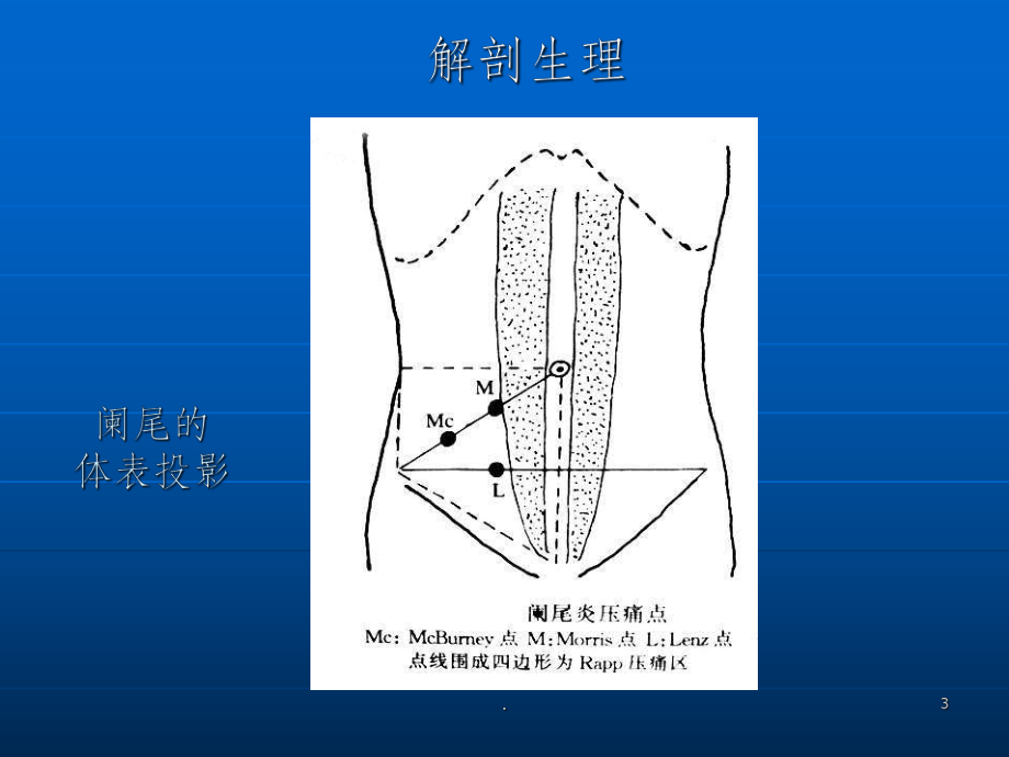 外科学(阑尾炎)课件.ppt_第3页