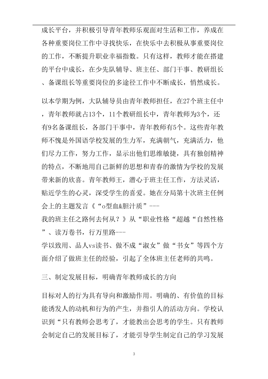 青年教师培养工作总结(DOC 8页).doc_第3页