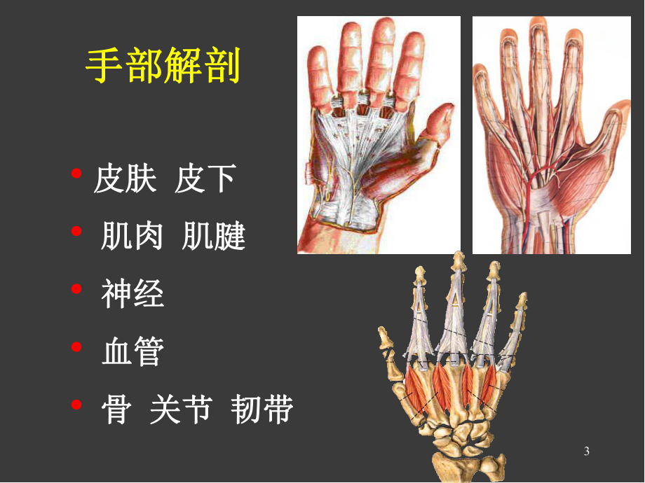 医学课件-手外伤的处理原则教学课件.ppt_第3页