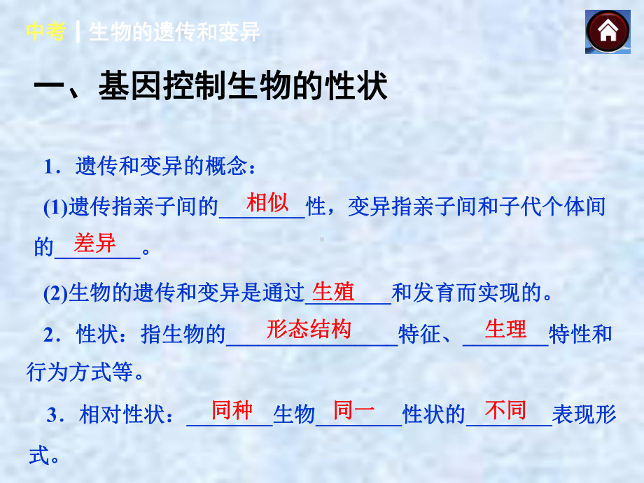 复习课生物的遗传与和变异课件.ppt_第2页