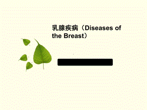 医学课件-乳腺疾病教学课件.ppt