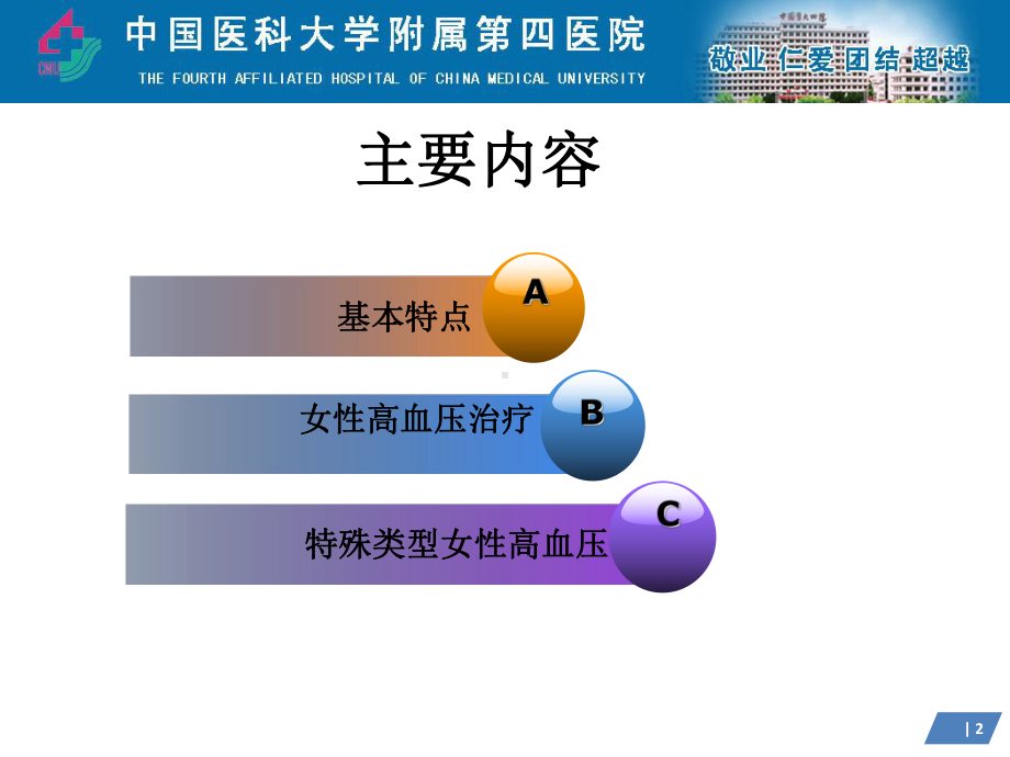 女性高血压的特点及治疗课件.pptx_第2页