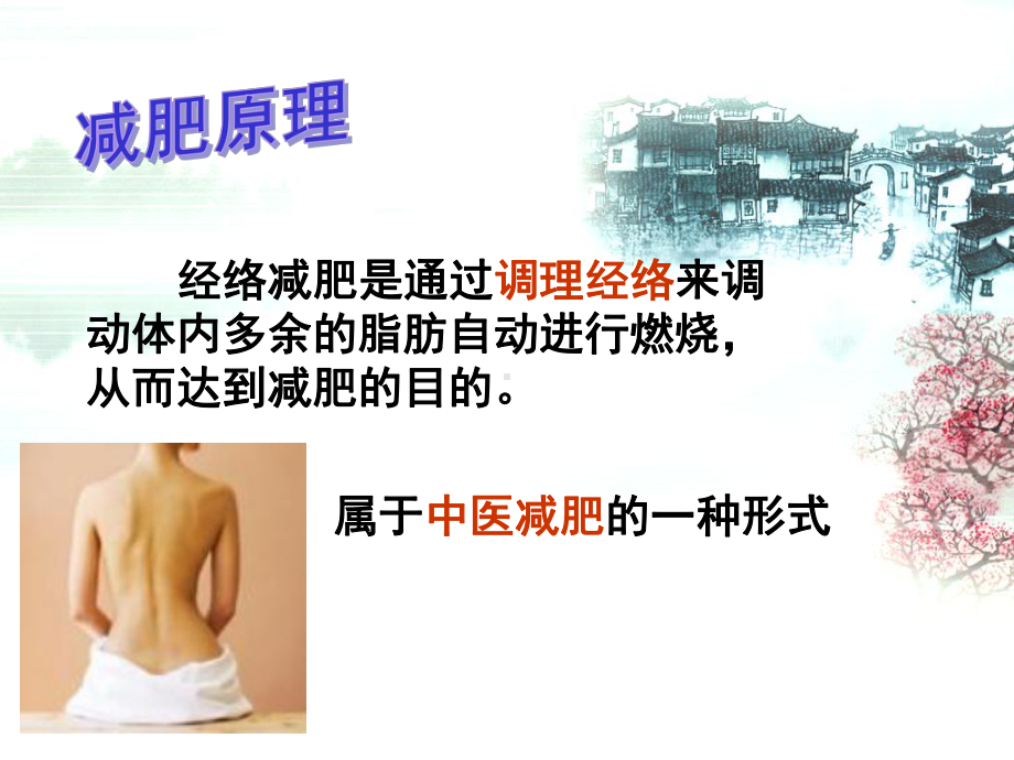 中医经络减肥详解.ppt_第2页