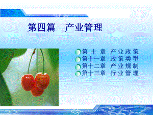 10产业管理.ppt