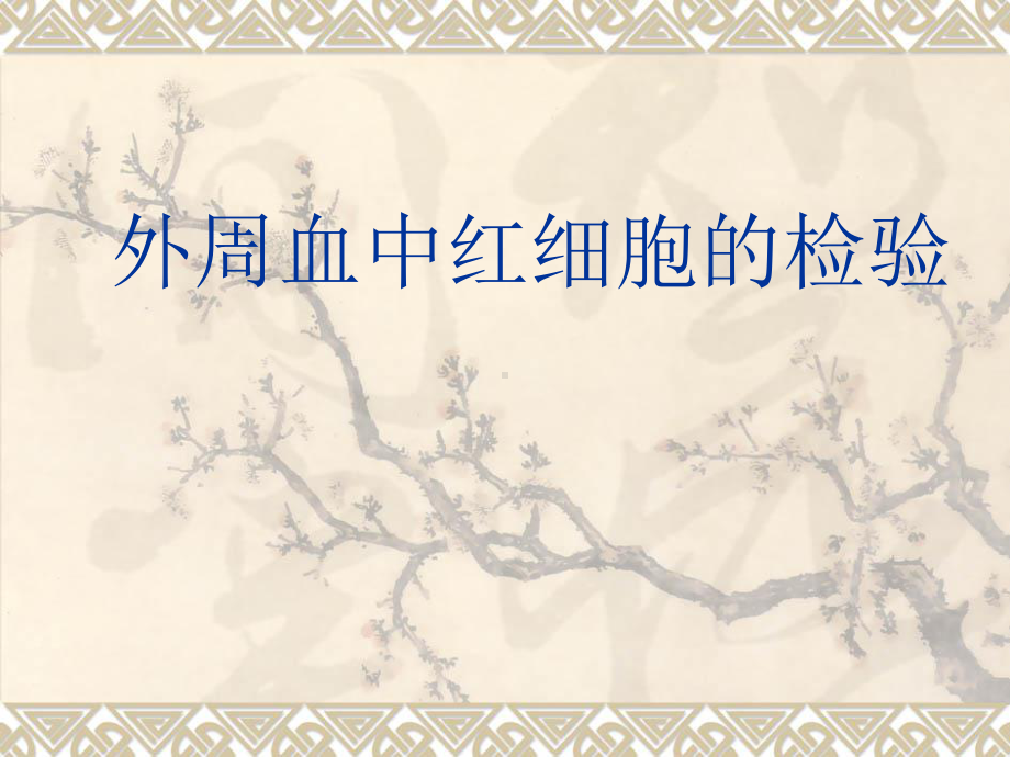 外周血中的红细胞课件.ppt_第1页