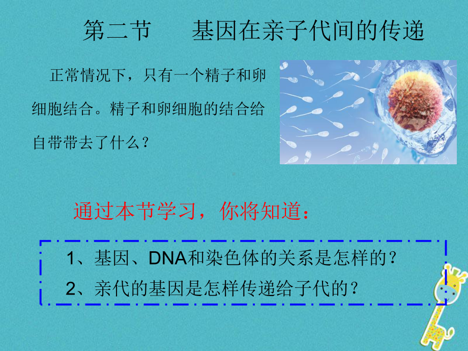 初二生物下册-722基因在亲子代间的传递1-课件.ppt_第1页