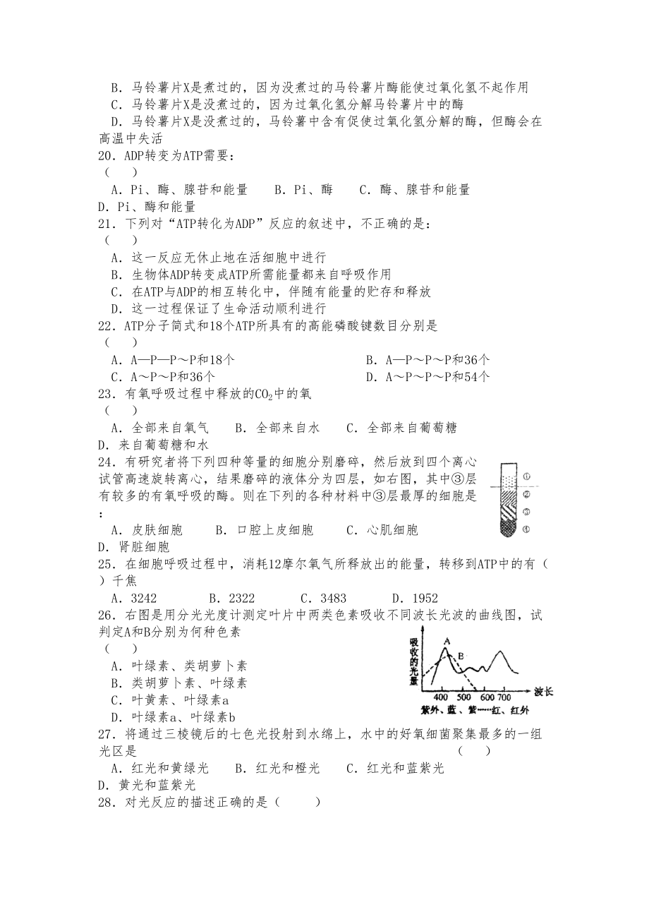 高中生物必修一第五章练习题(DOC 9页).doc_第3页