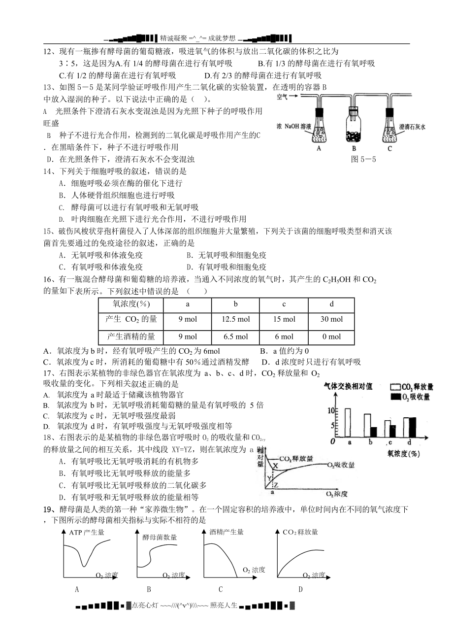 高考生物一轮复习：细胞呼吸测试题(DOC 8页).docx_第3页