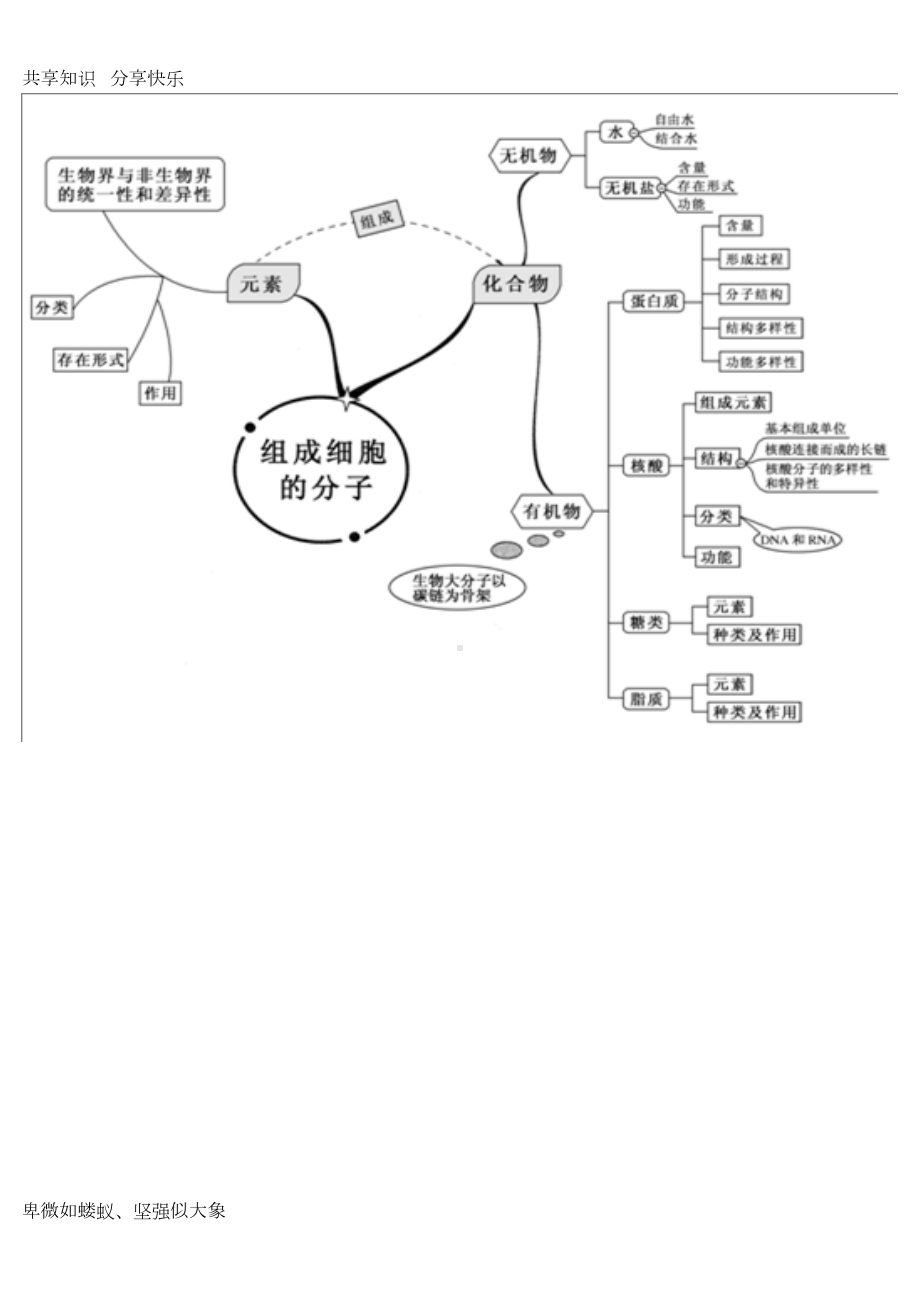 高中生物全套思维导图精编精校版(DOC 20页).doc_第1页