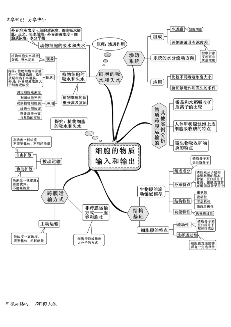 高中生物全套思维导图精编精校版(DOC 20页).doc_第3页