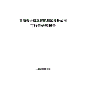 青海关于成立智能测试设备公司可行性研究报告(DOC 92页).docx