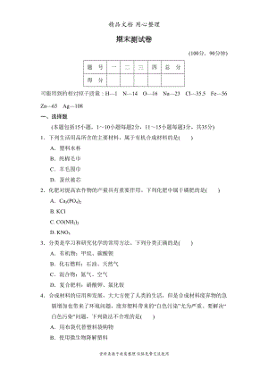 鲁教版九年级下册初中化学期末测试卷(DOC 12页).doc