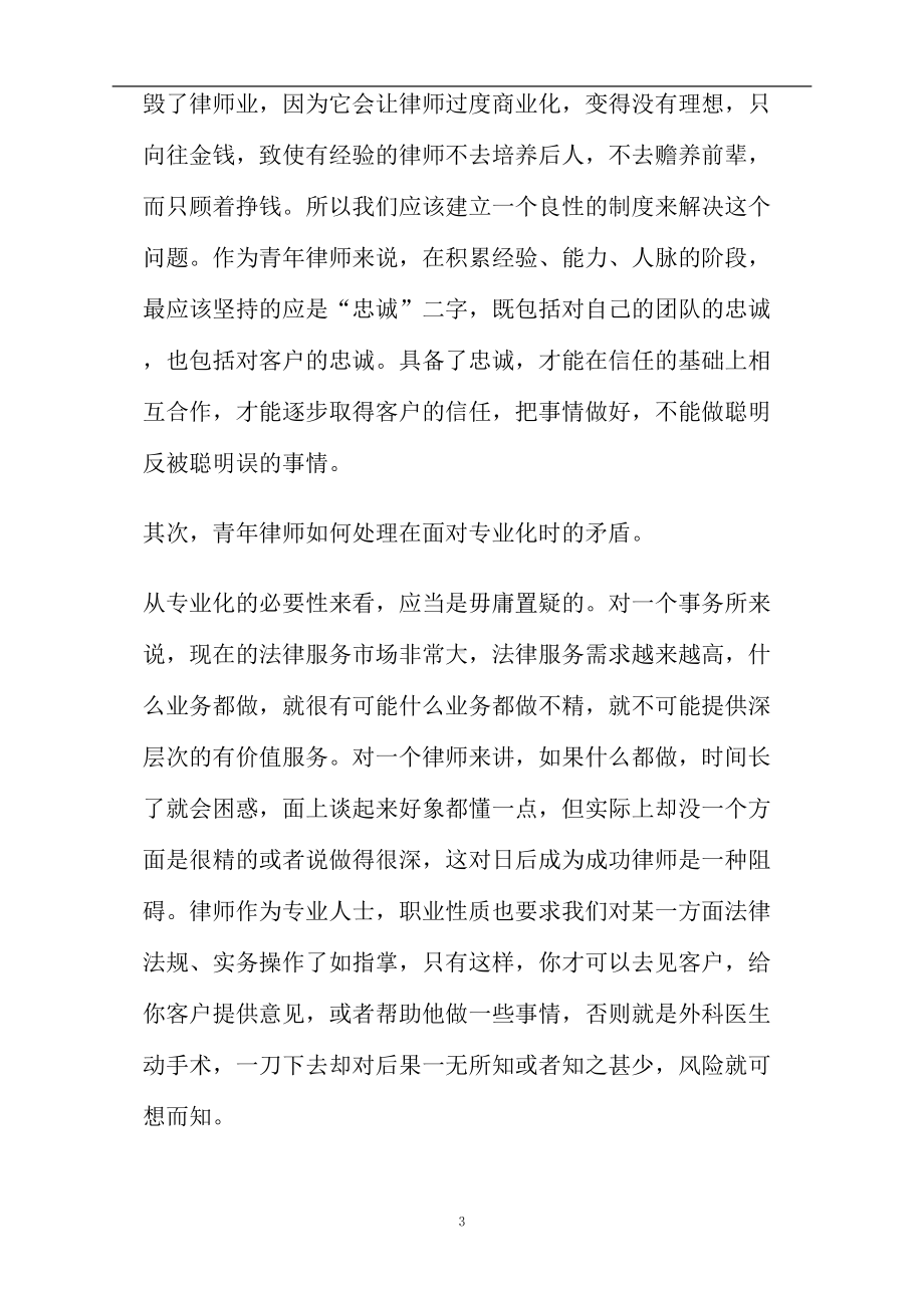 青年律师个人总结(DOC 8页).doc_第3页