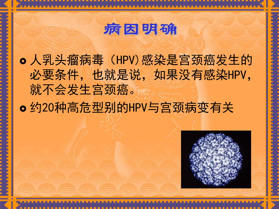 宫颈癌筛查与预防课件.ppt_第3页