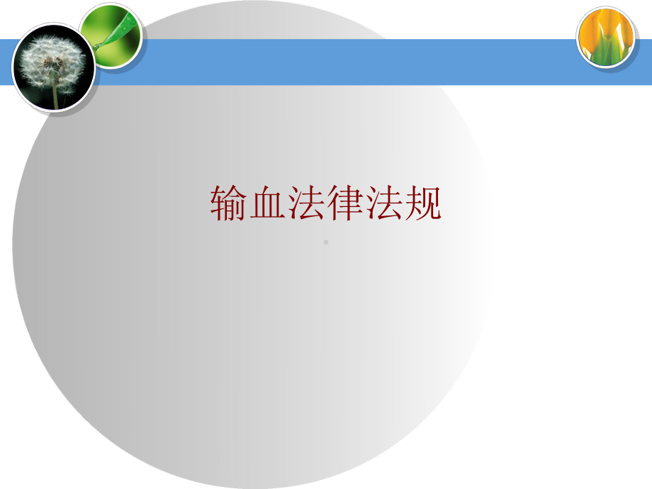 医学输血法律法规培训课件.ppt_第1页