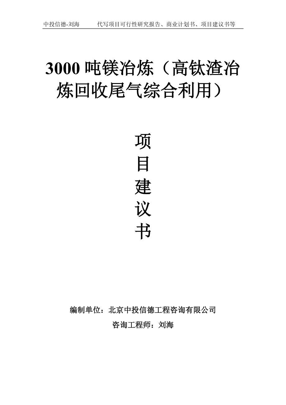 3000吨镁冶炼（高钛渣冶炼回收尾气综合利用）项目建议书-写作模板.doc_第1页