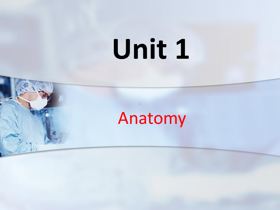 医学英语综合教程Unit1Anatomy课件.ppt_第2页