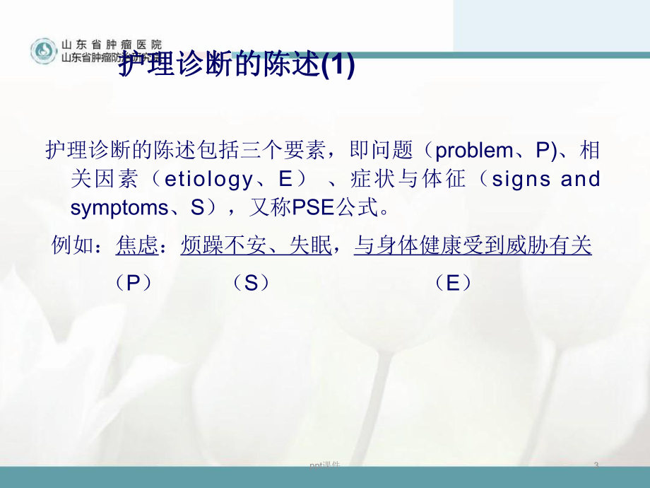 常见的护理诊断与护理措施-课件.ppt_第3页