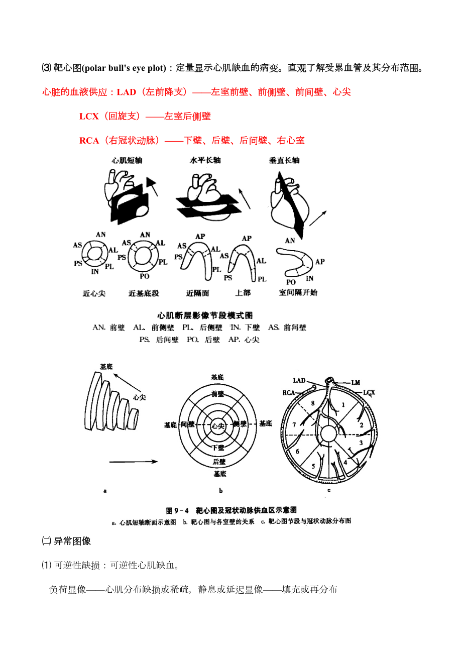 核医学重点整理精炼版(DOC 17页).doc_第3页