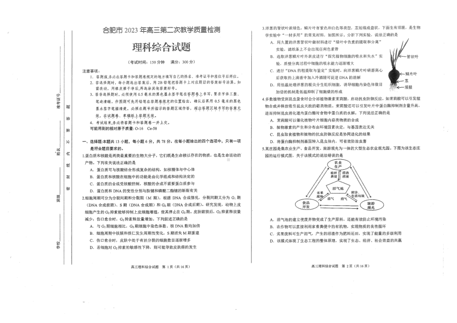 2023届安徽省合肥市高三第二次教学质量检测理科综合试题.pdf_第1页