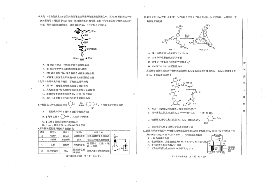 2023届安徽省合肥市高三第二次教学质量检测理科综合试题.pdf_第2页