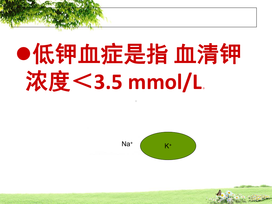 血钾异常病人护理课件.ppt_第3页