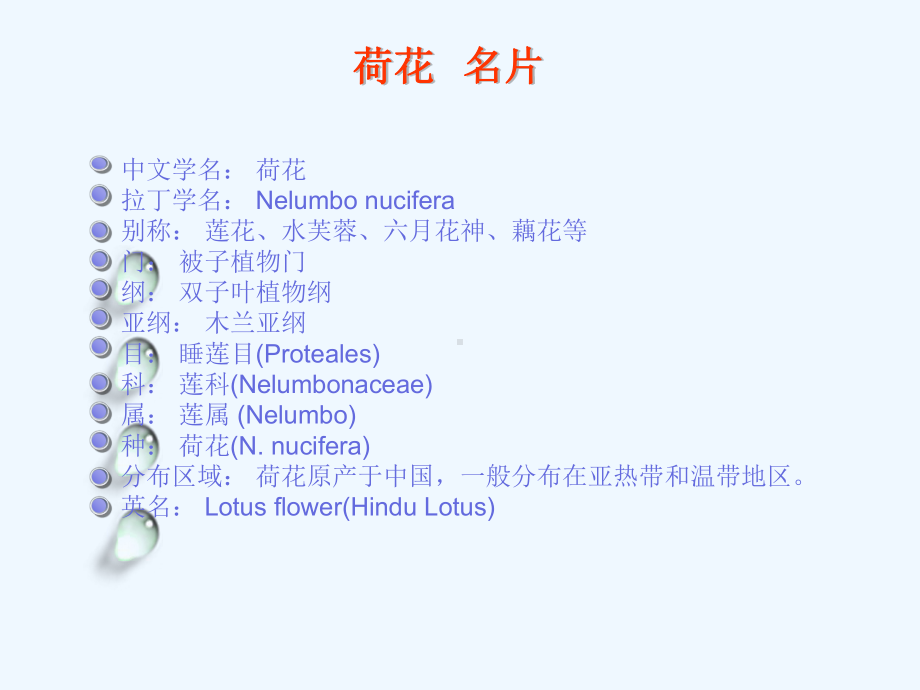 荷花的基本资料、形态特征与生长习性(-28课件.ppt_第2页