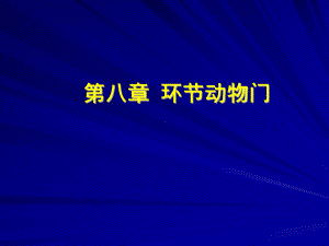 环节动物门课件.ppt