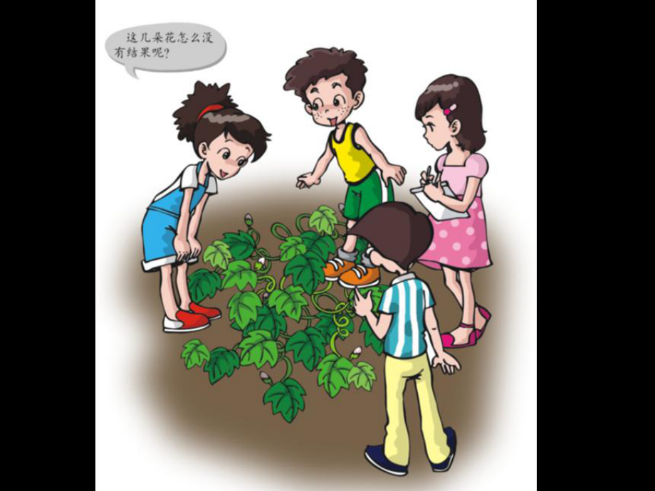 第13课《植物繁殖的奥秘》课件.ppt_第1页