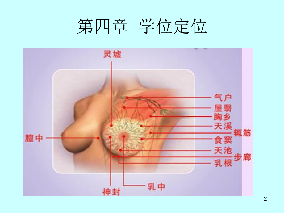 第四章学位定位课件.ppt_第2页