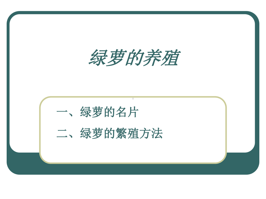 绿萝的养殖讲述课件.ppt_第2页