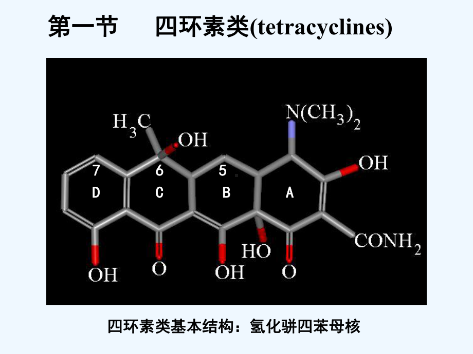 第四十章四环素类及氯霉素类抗生素课件.ppt_第2页