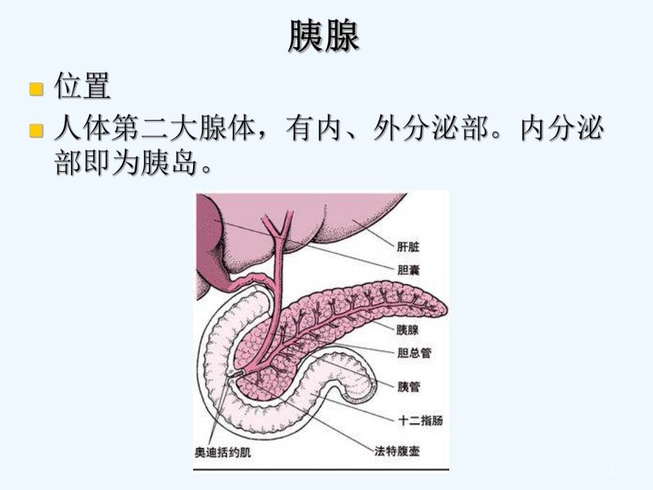 胰岛素的种类及用法-课件.ppt_第2页