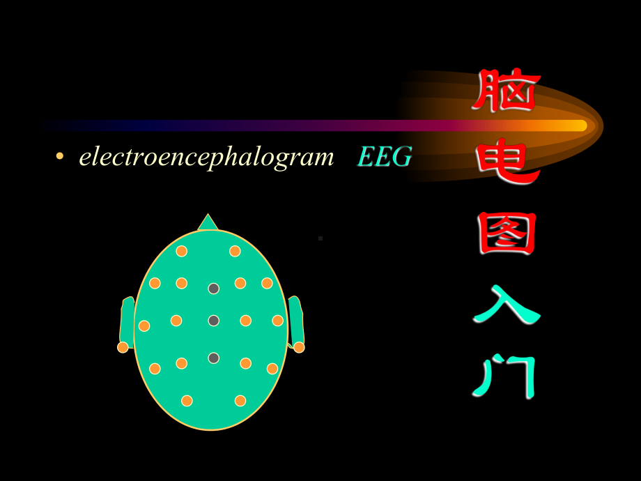 脑电图入门课件.ppt_第2页