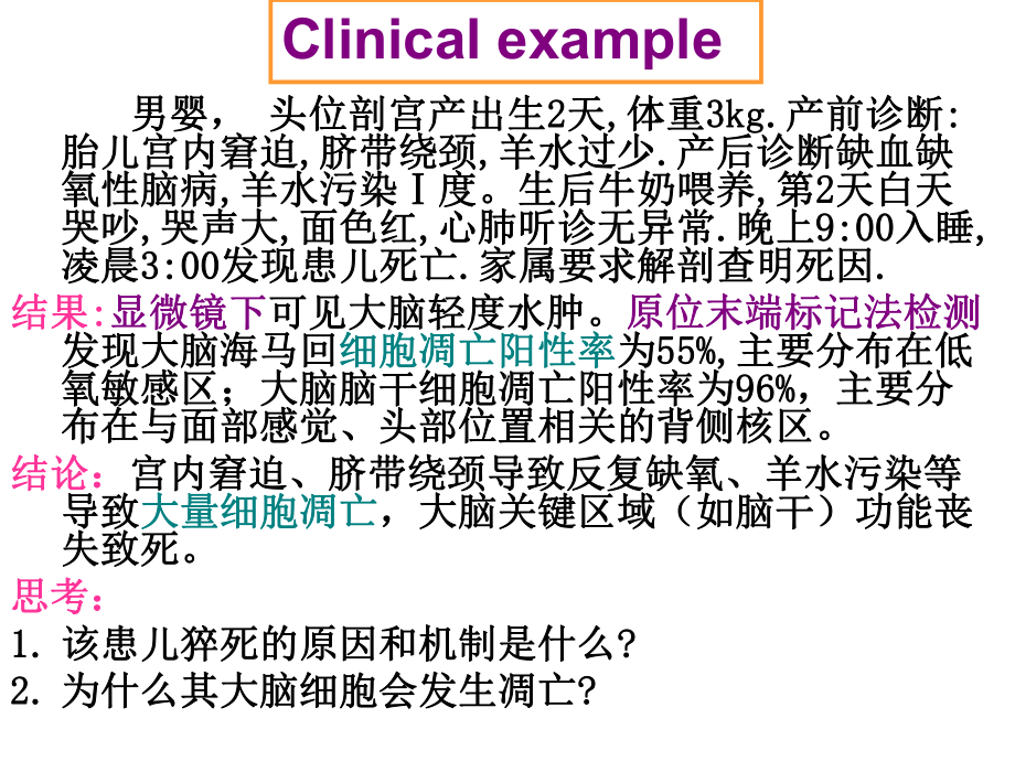 细胞凋亡与疾病(同名296)课件.ppt_第2页