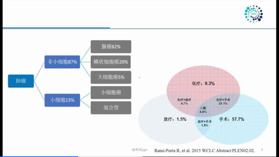 肺癌医学课件.pptx_第3页