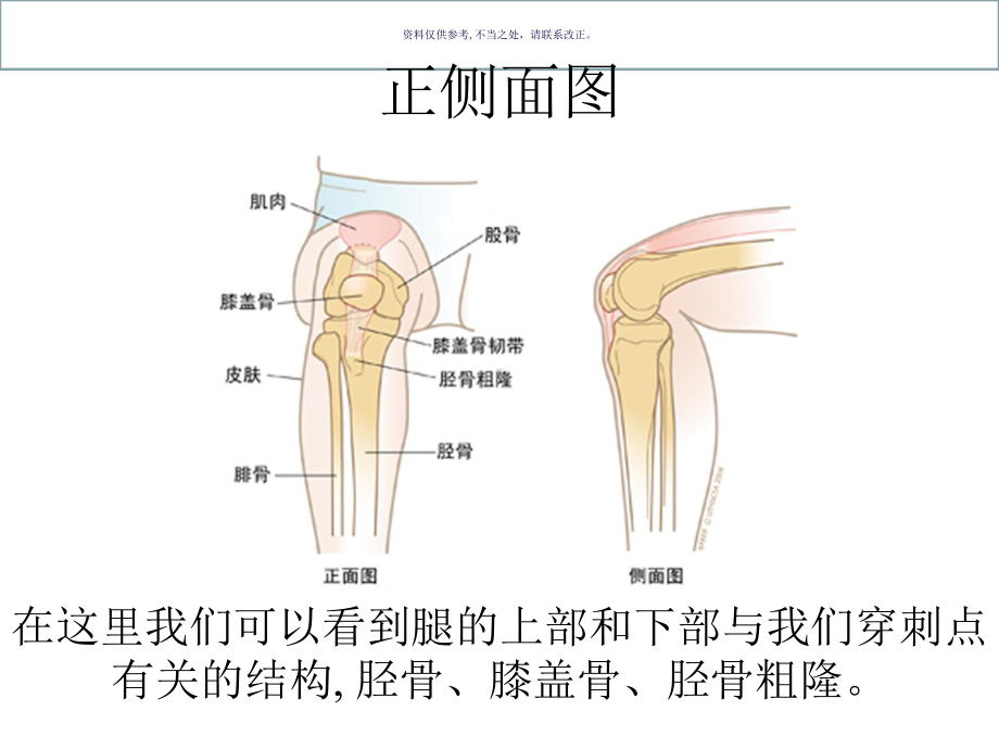 胫骨解剖结构图课件.ppt_第1页