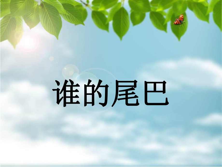 谁的尾巴课件.ppt_第1页