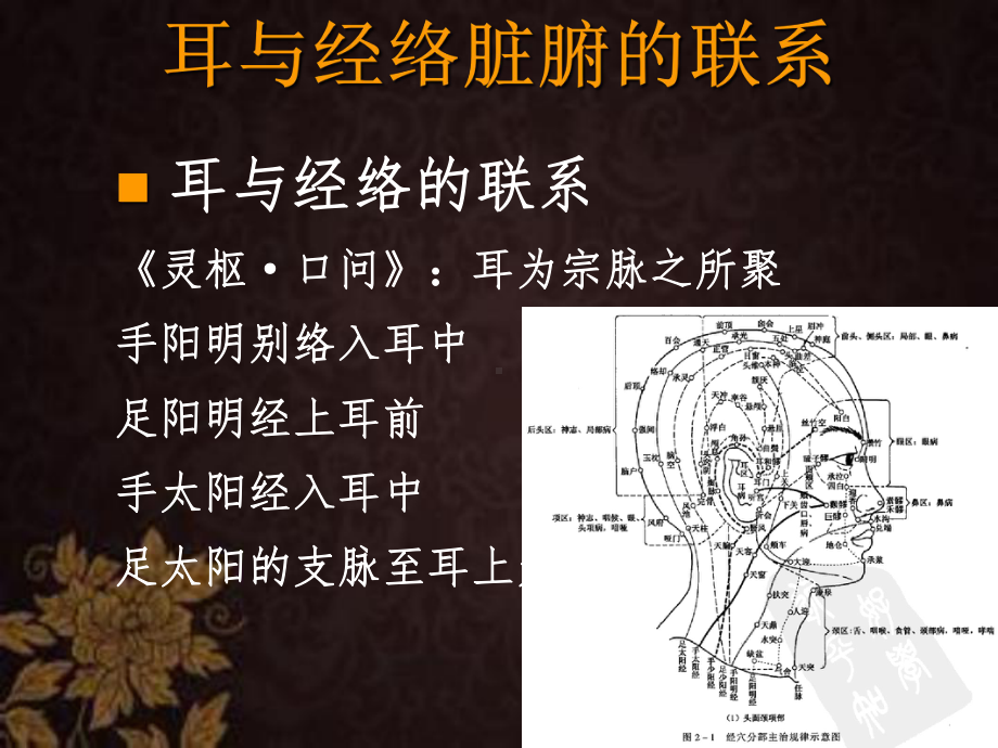 耳穴疗法-课件.ppt_第3页