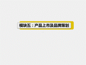 《营销策划实务与实训第2版》课件CH050301Q产品上市推广策划的内容和程序.ppt